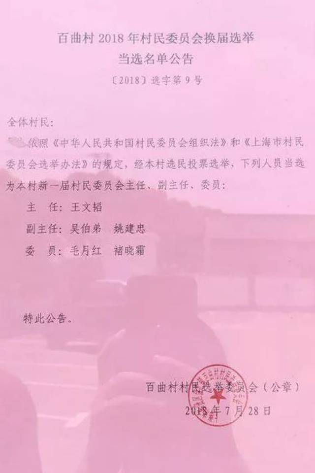 湾子村委会人事大调整，重塑领导团队，村级发展新篇章